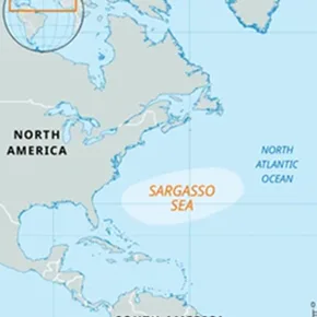 GeoPostcodes - June Product Update Thumbnail